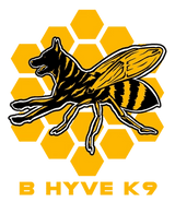 B-Hyve K9
