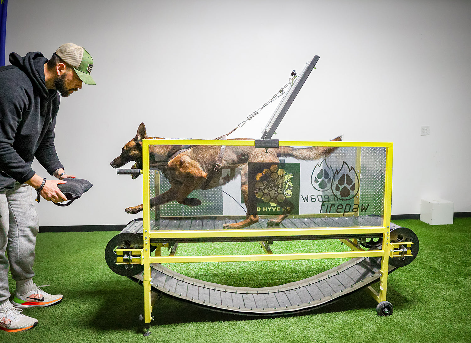 Dog Boarding Millcreek Utah, Dog Boarding in Millcreek Utah BHyve K9